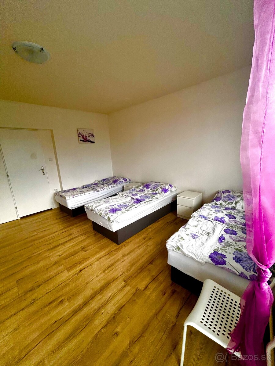 Prenájom viacerých jednotiek v Čakajovciach - 14