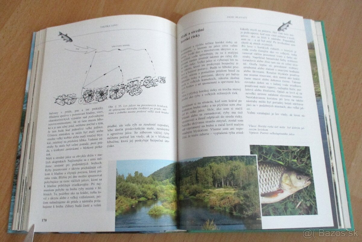 Rybárstvo – Lov dravých rýb na prívlač - 14