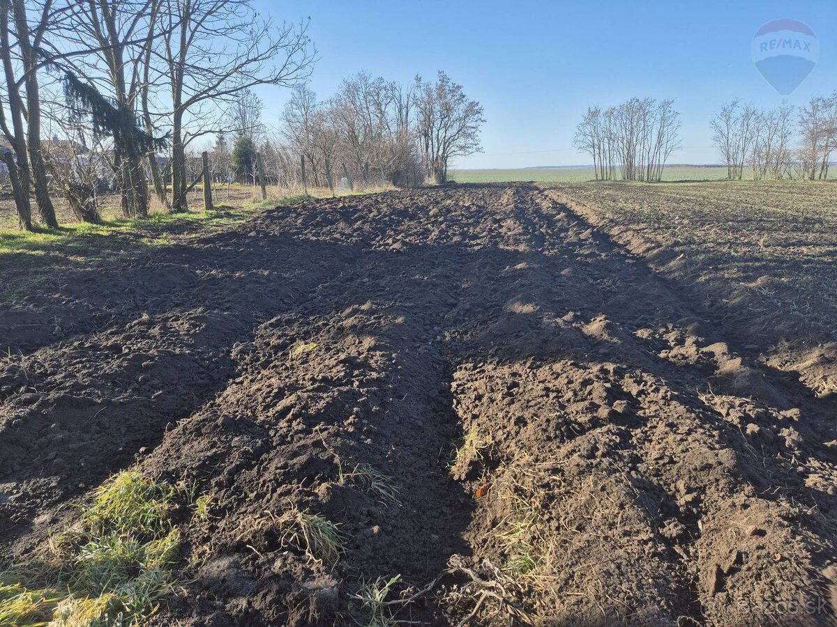 Gazdovský dom na 20á pozemku v Tekovských Lužanoch - 14