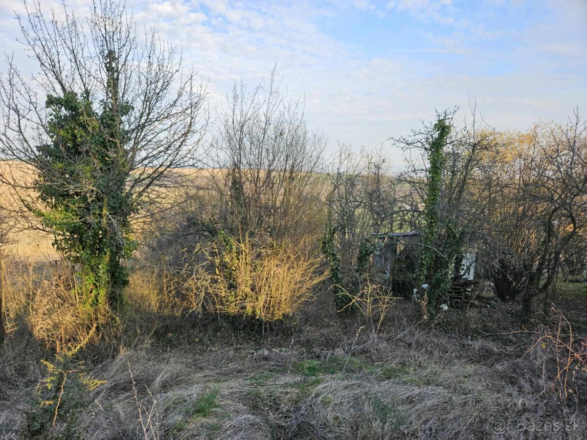 Predám pozemok v záhradkárskej oblasti Šípkové -AKTUÁLNE - 14