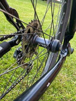 Horský bicykel 4 Ever Tera - 14