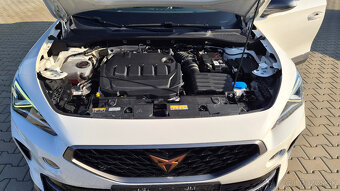 Cupra Formentor 2.0 TDI 150k - 14