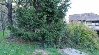 ROZOSTAVANÝ DOMČEK a POZEMOK 612m2 MYJAVSKÉ KOPANICE - 14