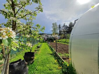 HALO reality - Predaj, záhradná chata Handlová, Mlynárka     - 14