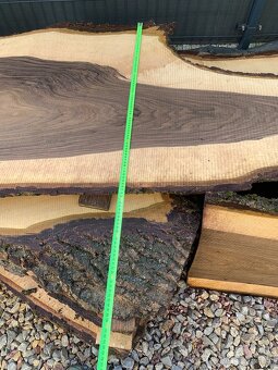 Orechove forsne z krásnou kresbou - 14