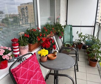 Veľký 3 izbový byt v komplexe Dolce Vita - 14