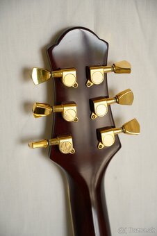 Elektrická gitara - Firewood - 26# - 14