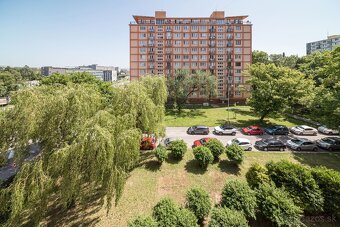 1,5-izbový, predaj, balkón, Boženy Němcovej, Košice - Sever - 14