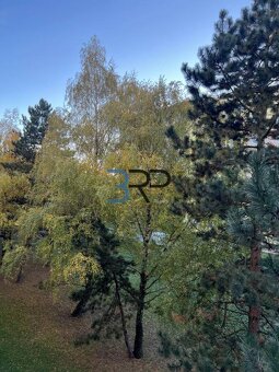 Na predaj 2izbový byt v meste Senica - 14