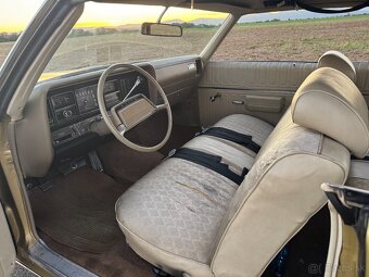 Buick Le Sabre, 1970, 5.7 V8 - 14