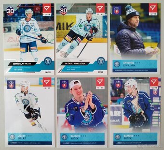 Hokejové kartičky TIPOS EXTRALIGA 2024/2025 - HK NITRA - 14
