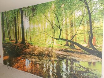 Tapetovanie (tapetar) - 14