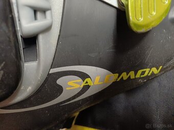 Lyže, Lyžiarky, Salomon, Head - 14