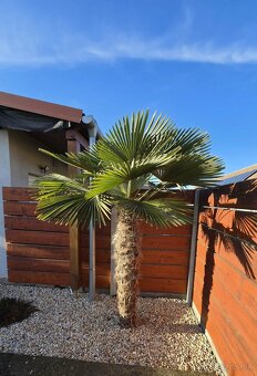 Rodinný dom s rozsiahlym pozemkom, bazénom, letnou kuchynkou - 14