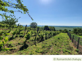 Viničný domček s altánkom, vinicou a ovocným sadom v Malýc - 14