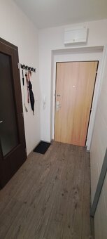 ZARIADENÝ 1 IZBOVÝ BYT - MUŠKÁT - 14