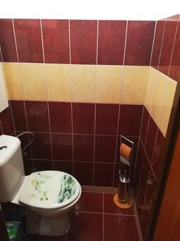 Veľký 3 - izbový byt po rekonštrukcii s pekným výhľadom. - 14