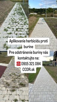 Kosenie, mulčovanie, frézovanie pňov, preprava, vypratávanie - 14