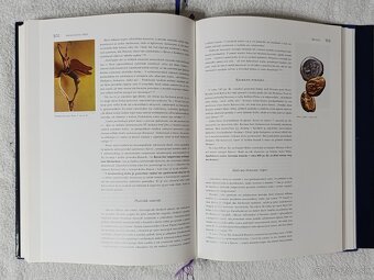 Angelológia dejín , Emil Páleš - 14