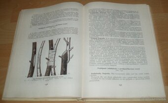 Štepenie, očkovanie a preštepovanie drevín - 14