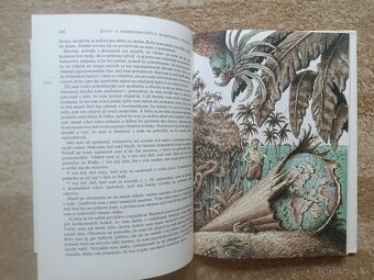Robinson Crusoe - 14