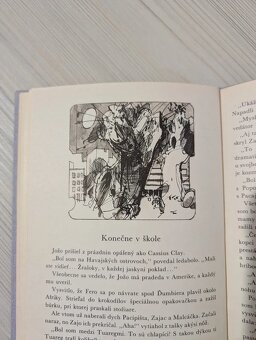 "Makovník plechom obitý" Miťo Vitéz - Kniha s obrázkami - 14