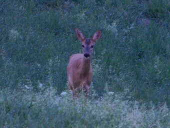 Predám Nikon Coolpix B500 – perfektný stav, príslušenstvo mo - 14