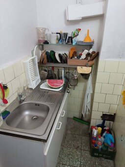 Hospodárska usadlosť s 3,6 hektárovým pozemkom na samote Nov - 14