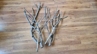 Predám terárium - 14