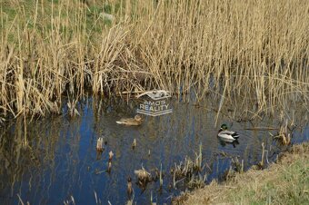 PRENÁJOM ,2 i zariadený byt pre 2 osoby pri rybníkoch, Rohož - 14
