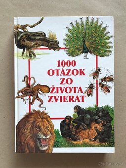 Deti ako ja, Ľudské telo, Môj adventný kalendár, Jezuliatko - 14