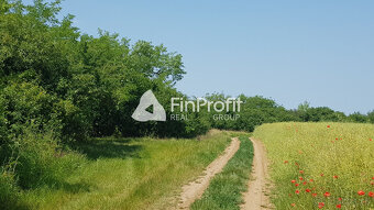 Predám dva vinohradnícke domy s pozemkami medzi vinohradmi p - 14