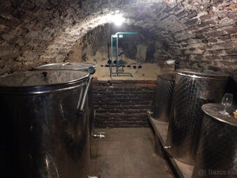 Na predaj viničný domček s vinicami a  pivnicou  v Strekove. - 14