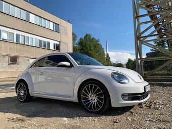 VW BEETLE - 14