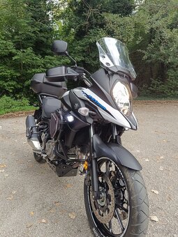 Suzuki v strom - 14