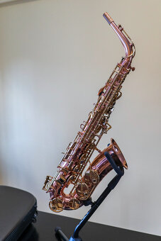 Alt saxofón Buffet Crampon Senzo - 14