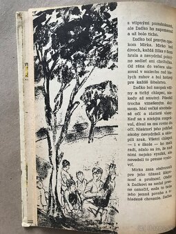 Foglar Chlapci od Bobrej rieky, Traja pátrači, Jack London - 14