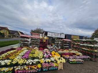 OBCHODNÝ PRIESTOR BERNOLÁKOVO - 14