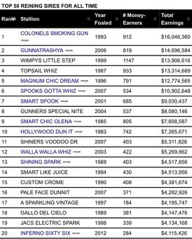 Bay hřebec American Quarter Horse, reining původ, matka s PE - 14