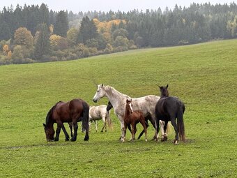 Darčekové poukážky - 14