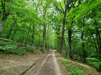 RD - CHALÚPKA a POZEMOK 1207m2 PRI LESÍKU KRAJNÉ -KOPANICE - 14