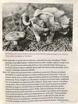 Jóga, Huby, Včelia materská kašička, Queen, Veľká kniha o - 14
