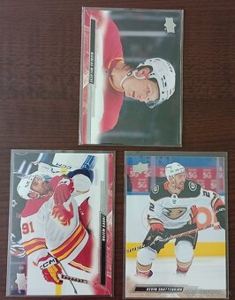 Predám hokejové kartičky 38ks + toploadery - 14