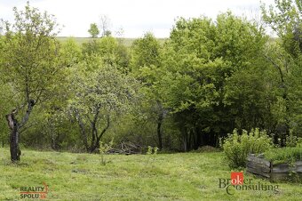 Na predaj pozemok 1898 m² - Horná Lehota, Nízke Tatry - 14