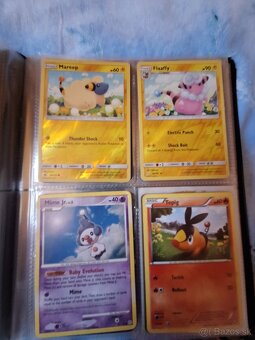 Pokémon Album - 14