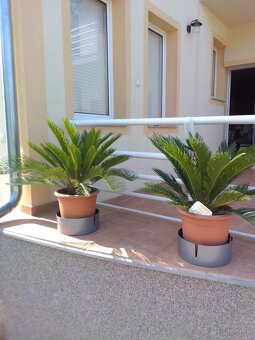 Balaton, dovolená - 14