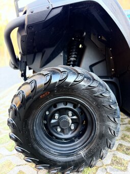 2020 CFMOTO cforce 450s - 14