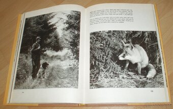 Povídání s liškou - 14