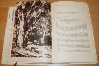 Lovy v Karpatech - 14