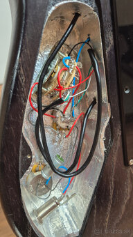 Zákazková elektrická gitara Stratocaster - 14